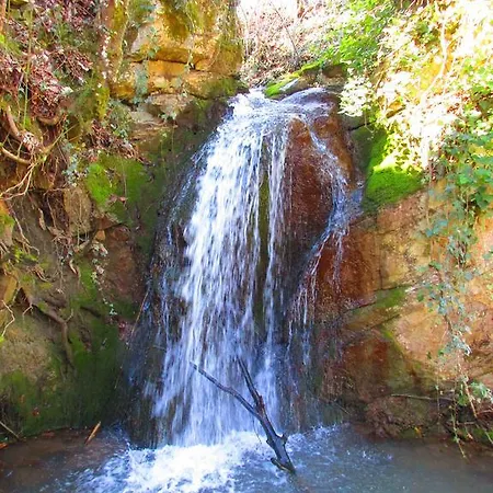 L' Antico Melo Sarnelli